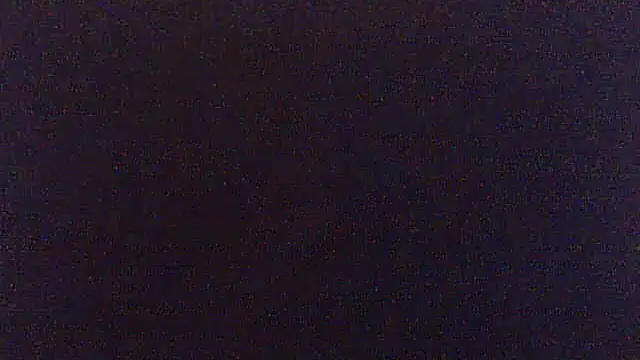 pietje1991のウェブカメラショー