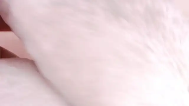 S_andra_のライブXXXチャット
