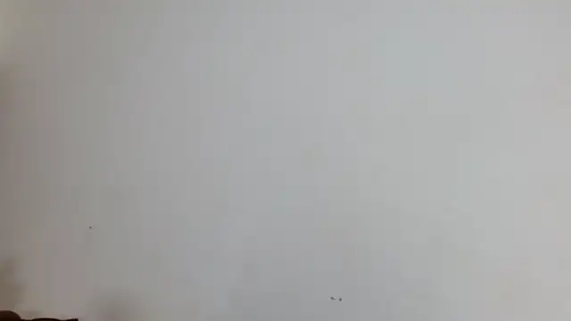 Živý XXX chat churcavagina40