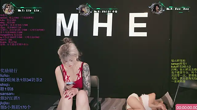 MHe-002のウェブカメラショー