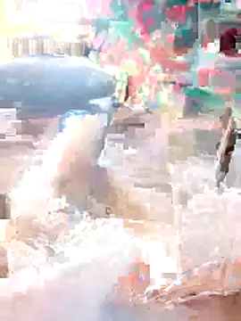 a7ex Pertunjukan Webcam