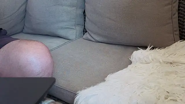 modenq Live XXX-chat