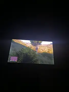 cowboy_420k Webcam-Show