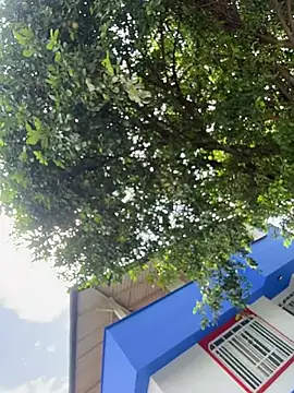 cam11_07 网络视讯表演