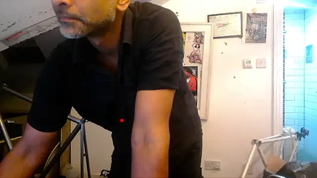 mista_sista_fistan Webbikameraesitys