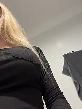 Vladamaisn Webbikameraesitys