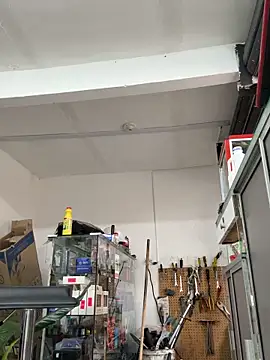 Paul22cm-: διαδικτυακό σόου στην κάμερα