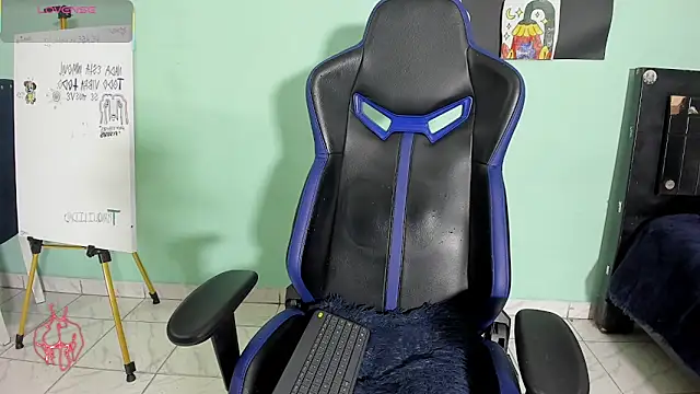 TYLERhHOT2005 网络视讯表演