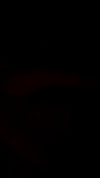 Pablonchy Webcam Show