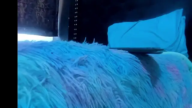 دردشة amareto_queen الجنسية المباشرة