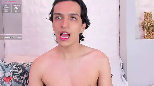 Show modela yoiirchi na web-kameri