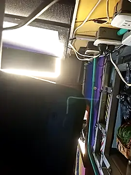 blackninja66n Webbikameraesitys