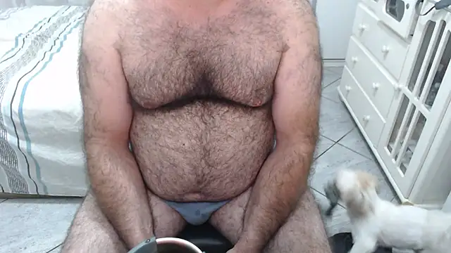 Show de MysterBearMG na webcam