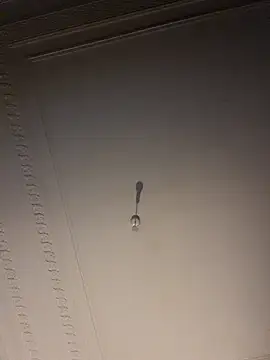 walker1979 网络视讯表演