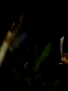 Andres_sant_'s Live XXX Chat