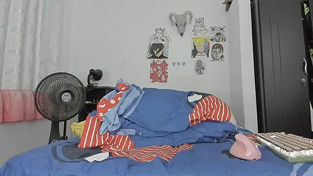 SonSettn Webbikameraesitys