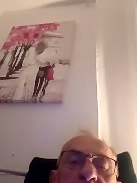 Dzoj Webcam-Show