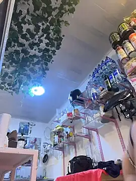 ANABOONCE_ 라이브 XXX 채팅
