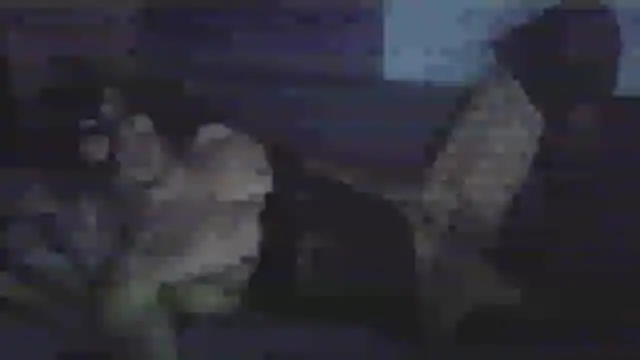 chceciedalsiebie Live XXX-chat