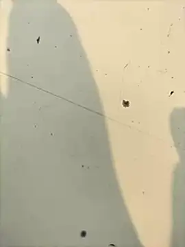 Pitercom ওয়েবক্যাম শো