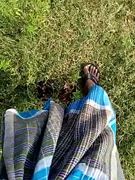dolphiinn ওয়েবক্যাম শো