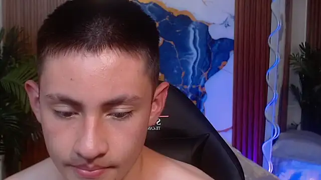 Andres_Tayn Webbikameraesitys