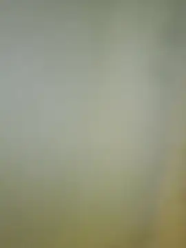 Amelia9798's Live XXX Chat