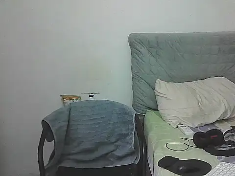 Show Webcam de IronSideBear