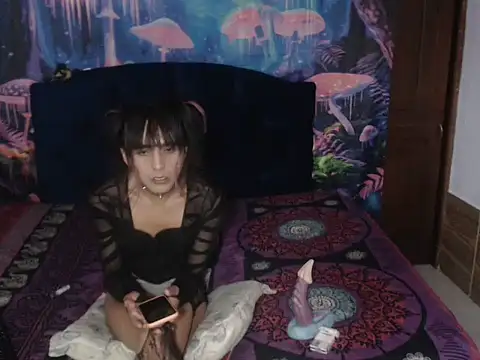 12_zasha_18のウェブカメラショー