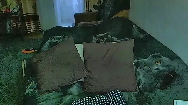sex2 Chat XXX live