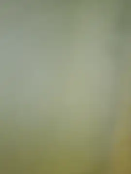 Amelia9798's Live XXX Chat