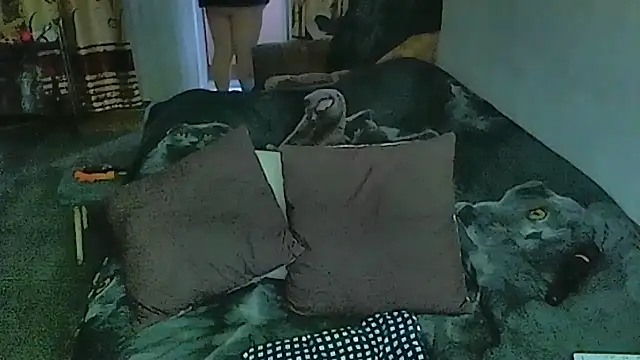 XXX chat uživo modela sex2