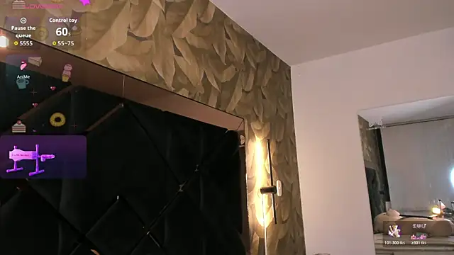 KaelSoft_ Webcam-Show
