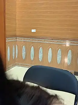 hide_from_colleagues Show Webcam
