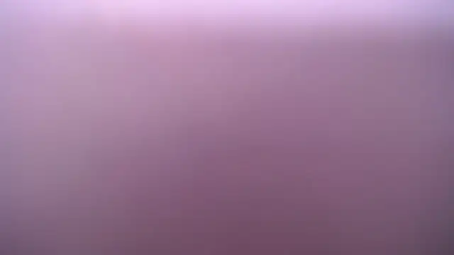 salomecastro_ Webcamshow