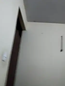 Show de darelzex na webcam