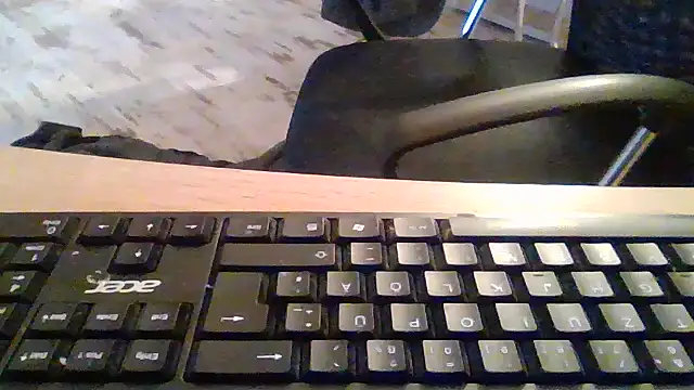 Trockenbau Webcam-Show