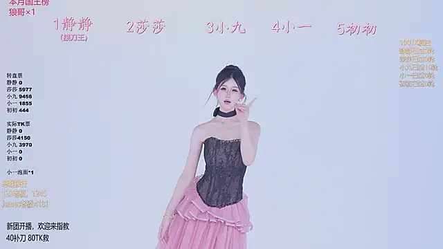 TY-002n Webbikameraesitys