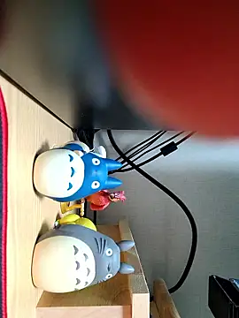Show Webcam de abcdek1