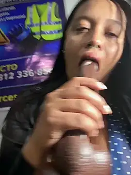 Show webcam de _Mia-Safety_Inspector