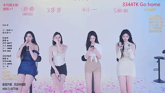 TY-002 Show Webcam