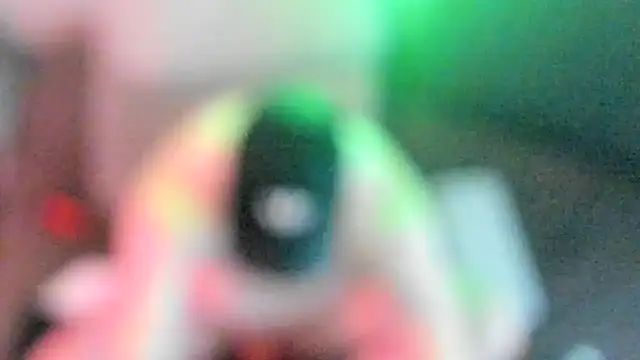 tomforkn Webbikameraesitys