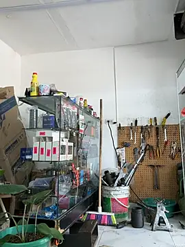 Paul22cm- webkamerás műsora