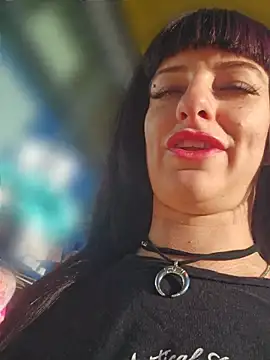 Show modela U_prolazu na web-kameri