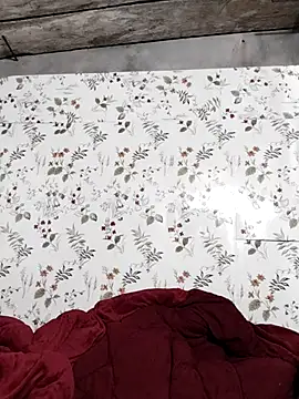 Chat +18 de zhen-zo ao vivo