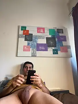 Atomixis Webcam-Show