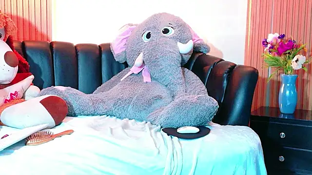 Evans_Robinson Show Webcam