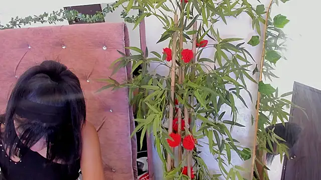 Alaia2 – Live XXX-chat