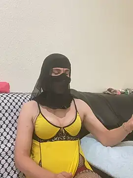 Ashwak_transn Webbikameraesitys