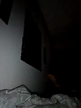 Sony28v Webcam show